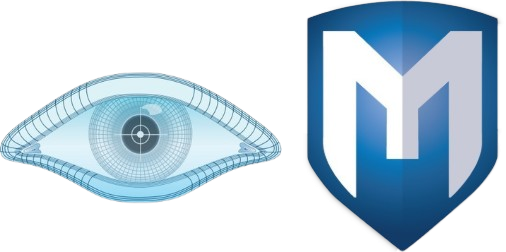 Logo Nmap/Metasploit